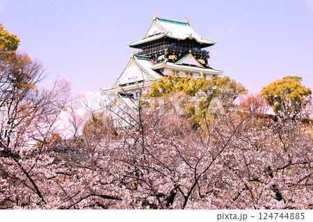 大阪城、桜の公園、満開の桜と大阪城の競演、大阪城に浮かぶ満開の桜、大阪城の春の風物詩、大阪城桜物語 124744885