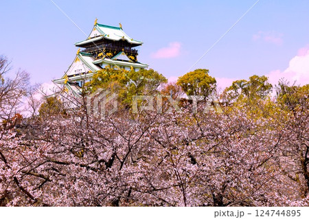 大阪城、桜の公園、満開の桜と大阪城の競演、大阪城に浮かぶ満開の桜、大阪城の春の風物詩、大阪城桜物語 大阪城、桜の公園、満開の桜と大阪城の競演、大阪城に浮かぶ満開の桜、大阪城の春の風物詩、大阪城桜物語 124744895