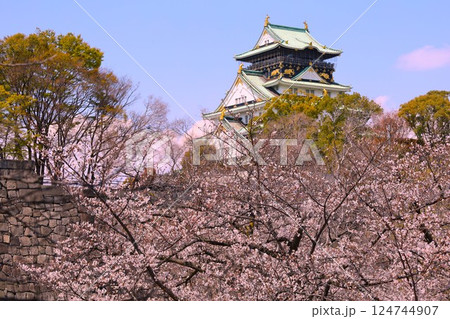 大阪城、桜の公園、満開の桜と大阪城の競演、大阪城に浮かぶ満開の桜、大阪城の春の風物詩、大阪城桜物語 124744907