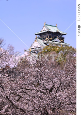 大阪城、桜の公園、満開の桜と大阪城の競演、大阪城に浮かぶ満開の桜、大阪城の春の風物詩、大阪城桜物語 大阪城、桜の公園、満開の桜と大阪城の競演、大阪城に浮かぶ満開の桜、大阪城の春の風物詩、大阪城桜物語 124744909