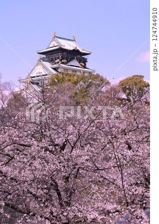 大阪城、桜の公園、満開の桜と大阪城の競演、大阪城に浮かぶ満開の桜、大阪城の春の風物詩、大阪城桜物語 大阪城、桜の公園、満開の桜と大阪城の競演、大阪城に浮かぶ満開の桜、大阪城の春の風物詩、大阪城桜物語 124744910