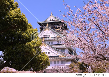 大阪城、桜の公園、満開の桜と大阪城の競演、大阪城に浮かぶ満開の桜、大阪城の春の風物詩、大阪城桜物語 大阪城、桜の公園、満開の桜と大阪城の競演、大阪城に浮かぶ満開の桜、大阪城の春の風物詩、大阪城桜物語 124744917