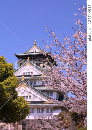 大阪城、桜の公園、満開の桜と大阪城の競演、大阪城に浮かぶ満開の桜、大阪城の春の風物詩、大阪城桜物語 124744918