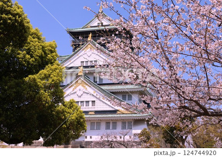 大阪城、桜の公園、満開の桜と大阪城の競演、大阪城に浮かぶ満開の桜、大阪城の春の風物詩、大阪城桜物語 大阪城、桜の公園、満開の桜と大阪城の競演、大阪城に浮かぶ満開の桜、大阪城の春の風物詩、大阪城桜物語 124744920