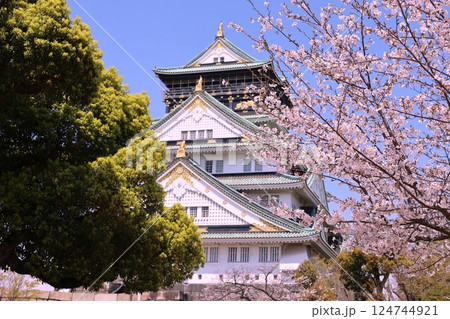大阪城、桜の公園、満開の桜と大阪城の競演、大阪城に浮かぶ満開の桜、大阪城の春の風物詩、大阪城桜物語 大阪城、桜の公園、満開の桜と大阪城の競演、大阪城に浮かぶ満開の桜、大阪城の春の風物詩、大阪城桜物語 124744921