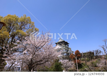 大阪城、桜の公園、満開の桜と大阪城の競演、大阪城に浮かぶ満開の桜、大阪城の春の風物詩、大阪城桜物語 124744930