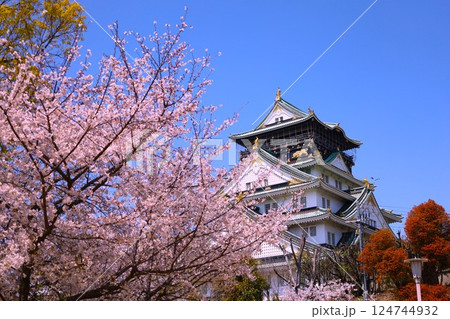 大阪城、桜の公園、満開の桜と大阪城の競演、大阪城に浮かぶ満開の桜、大阪城の春の風物詩、大阪城桜物語 大阪城、桜の公園、満開の桜と大阪城の競演、大阪城に浮かぶ満開の桜、大阪城の春の風物詩、大阪城桜物語 124744932