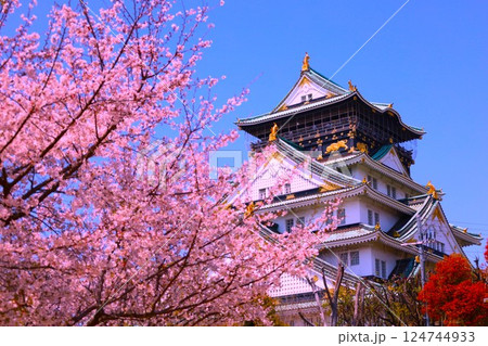 大阪城、桜の公園、満開の桜と大阪城の競演、大阪城に浮かぶ満開の桜、大阪城の春の風物詩、大阪城桜物語 124744933