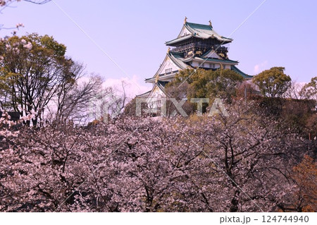 大阪城、桜の公園、満開の桜と大阪城の競演、大阪城に浮かぶ満開の桜、大阪城の春の風物詩、大阪城桜物語 124744940