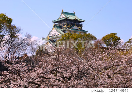大阪城、桜の公園、満開の桜と大阪城の競演、大阪城に浮かぶ満開の桜、大阪城の春の風物詩、大阪城桜物語 124744943
