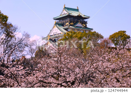 大阪城、桜の公園、満開の桜と大阪城の競演、大阪城に浮かぶ満開の桜、大阪城の春の風物詩、大阪城桜物語 124744944