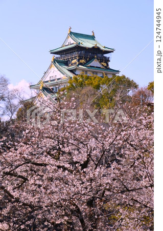 大阪城、桜の公園、満開の桜と大阪城の競演、大阪城に浮かぶ満開の桜、大阪城の春の風物詩、大阪城桜物語 124744945