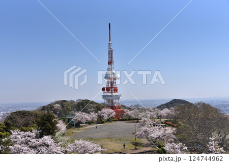 湘南平（高麗山公園） 124744962