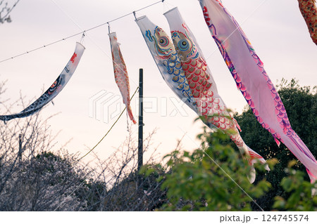 夕焼け空に漂う鯉のぼり 124745574