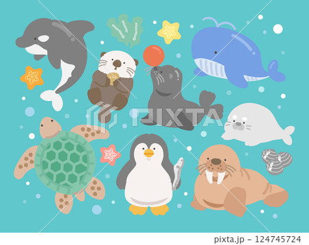 水族館 海の生き物 種類 イラストセット 水族館 海の生き物 種類 イラストセット 124745724