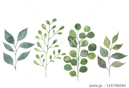 水彩の葉っぱ素材　草木装飾　植物イラスト　葉っぱセット 124746084