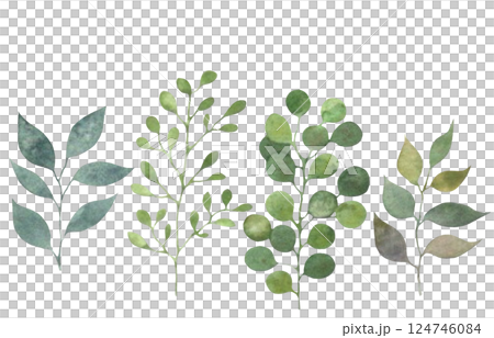 水彩の葉っぱ素材　草木装飾　植物イラスト　葉っぱセット 124746084