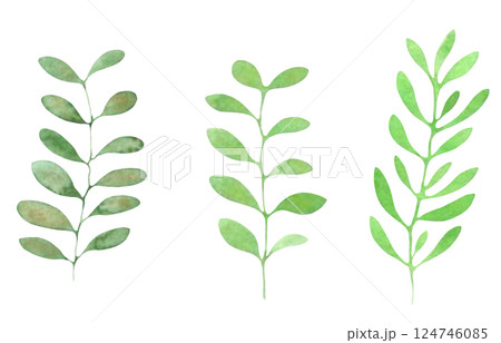水彩の葉っぱ素材　草木装飾　植物イラスト　葉っぱセット 124746085