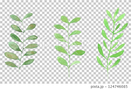水彩の葉っぱ素材　草木装飾　植物イラスト　葉っぱセット 124746085