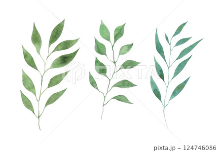 水彩の葉っぱ素材　草木装飾　植物イラスト　葉っぱセット 124746086