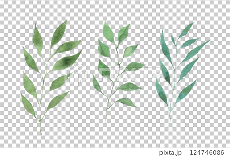 水彩の葉っぱ素材　草木装飾　植物イラスト　葉っぱセット 124746086