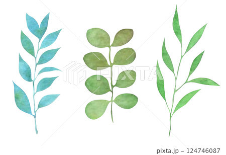 水彩の葉っぱ素材 草木装飾 植物イラスト 葉っぱセット 水彩の葉っぱ素材 草木装飾 植物イラスト 葉っぱセット 124746087