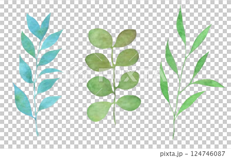 水彩の葉っぱ素材 草木装飾 植物イラスト 葉っぱセット 水彩の葉っぱ素材 草木装飾 植物イラスト 葉っぱセット 124746087