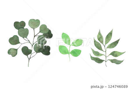 水彩の葉っぱ素材　草木装飾　植物イラスト　葉っぱセット 124746089