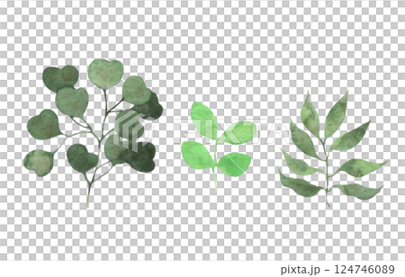 Watercolor leaf material, plant decoration, plant illustration, leaf set 124746089