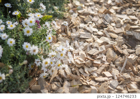 ウッドチップを敷き詰めた花壇 124746233