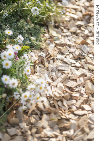 ウッドチップを敷き詰めた花壇 124746234