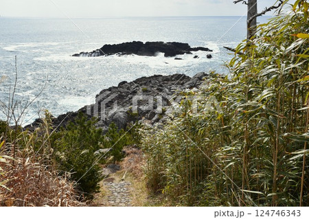 気仙沼 唐桑半島　御埼岬 124746343