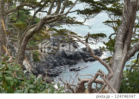 気仙沼 唐桑半島 御埼岬 気仙沼 唐桑半島 御埼岬 124746347