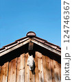 Wooden rooftop with an horse statue and sky.l 124746367