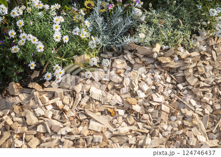 ウッドチップを敷き詰めた花壇 ウッドチップを敷き詰めた花壇 124746437