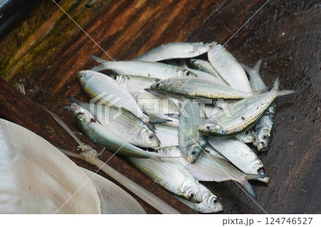 Fresh Fish at fish market at puri sea beach Fresh Fish at fish market at puri sea beach 124746527
