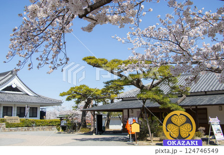 岡崎城公園 桜 葵の紋 岡崎城公園 桜 葵の紋 124746549
