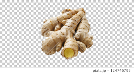 Fresh Ginger Root. Culinary Ingredient And Herbal Remedy For Health Benefits Isolated On Transparent Background 124746795