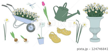 set elements about spring flowers gardening, daffodils flowers, tulip flower, sprouted bulb of a plant, pair of rubber gardening clogs, watering can,Blooming daffodils in decorative planter,  124746841