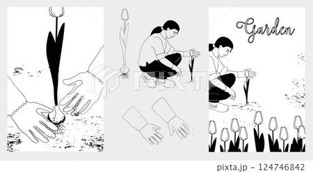 Woman in garden gloves tending blooming tulips. Set elements about gardening, black and white vector illustration 124746842