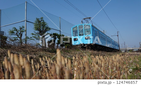 つくしと近江鉄道 124746857