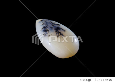 デンドリティック・アゲート 風景を宿す石 124747650