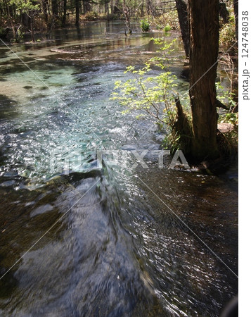 清流の水面に映り込む光 124748038