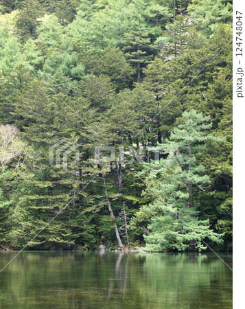 緑のある風景 緑のある風景 124748047