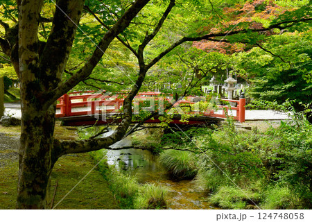 高野山　奥之院の平和橋 124748058