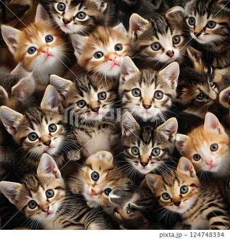 kitten faces seamless photorealistic texture and background 124748334