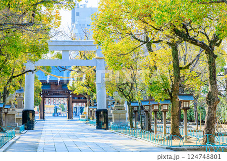 春の湊川神社 兵庫県神戸市 春の湊川神社 兵庫県神戸市 124748801