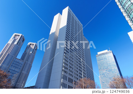 東京　西新宿のビジネス街 124749036