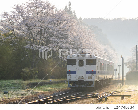 桜の中を走るローカル線 124749534