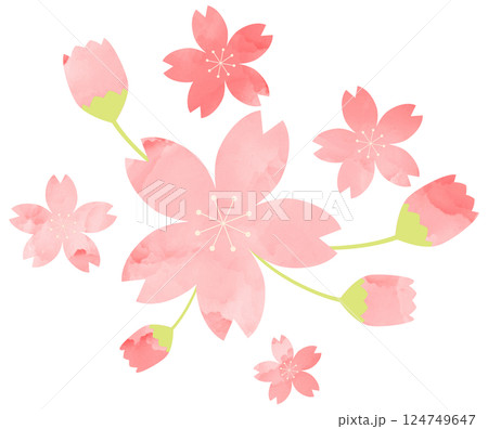 イラスト素材 桜 手描き ピンク 水彩 イラスト素材 桜 手描き ピンク 水彩 124749647